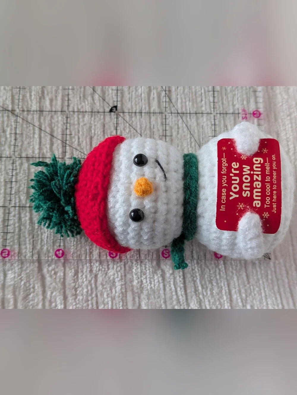Crochet Snowman Plush with sign. removable Red Hat & Green Scarf